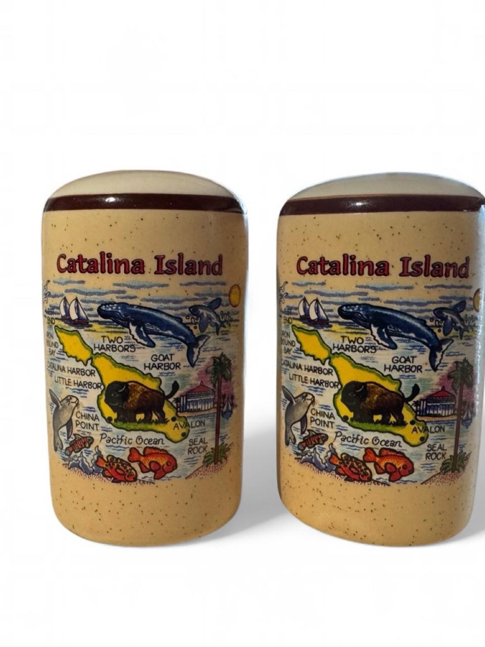 Vintage Catalina Island Souvenir Salt & Pepper Shakers